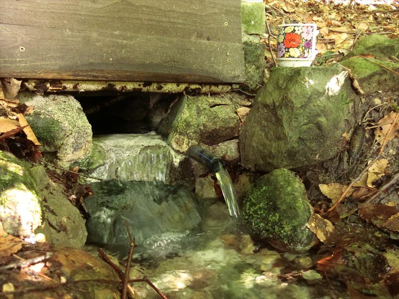 Studánka