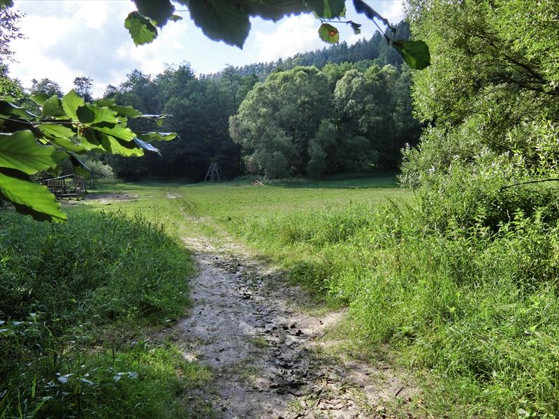 Velká louka