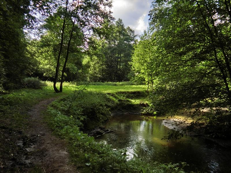 Loučka u menadru