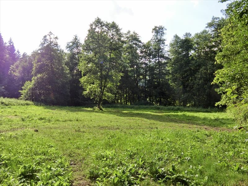 Malá louka